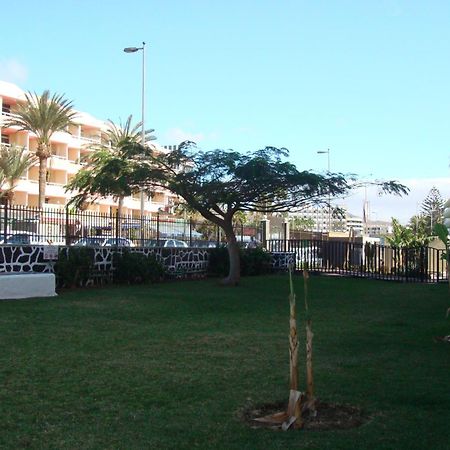 Los Cactus Playa del Inglés Exteriér fotografie