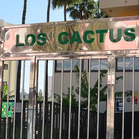 Los Cactus Playa del Inglés Exteriér fotografie