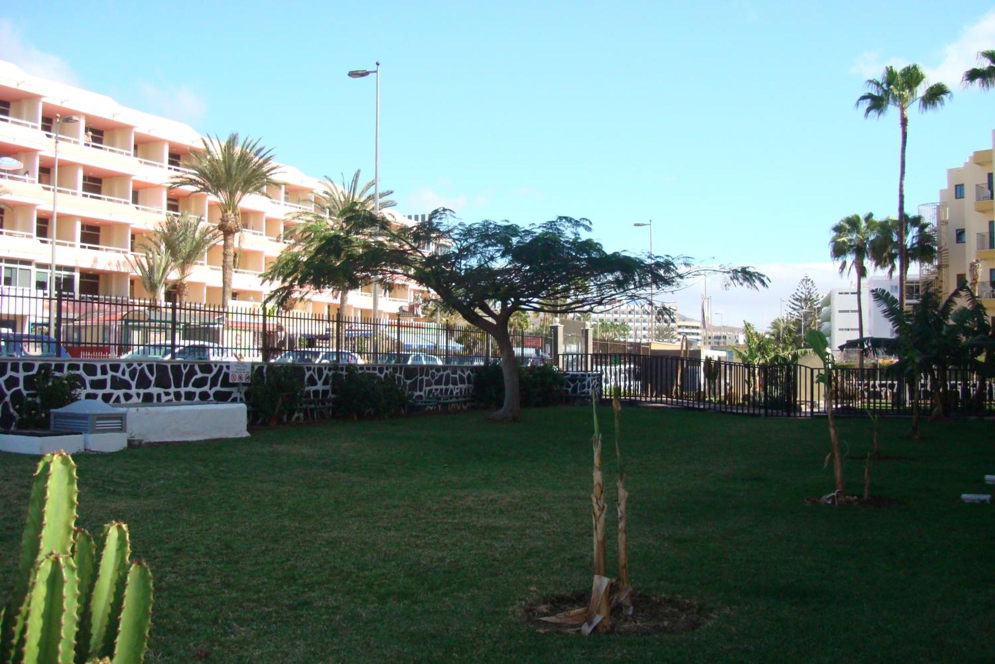 Los Cactus Playa del Inglés Exteriér fotografie